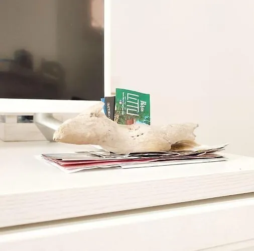 Villa Romantica Casa Al Mare Con Piscina In Sardegna Viddalba